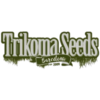 Trikoma Seeds