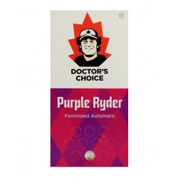 Purple Ryder autofem (DctCh)
