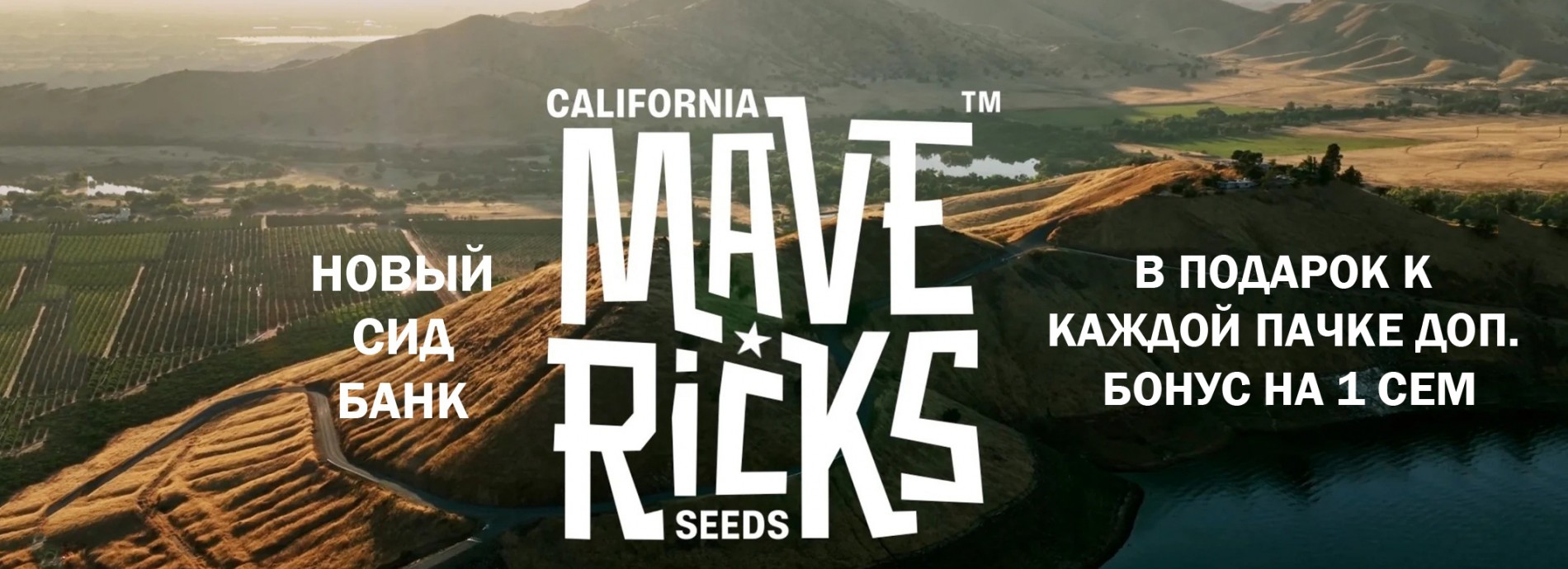 Mavericks Genetics