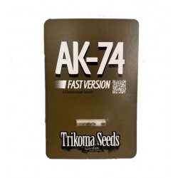 AK-74 Fast Version fem (TrkS)