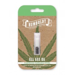 All Gas OG fem (HmbSСo)