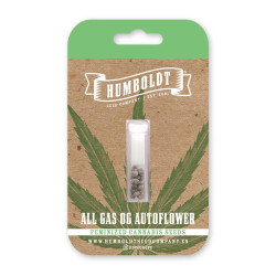 All Gas OG auto autofem (HmbSCo)