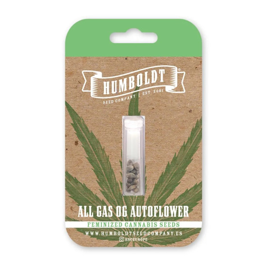 All Gas OG auto autofem (HmbSCo)