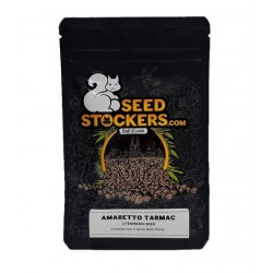 Amaretto Tarmac fem (SdSt) NEW 2024