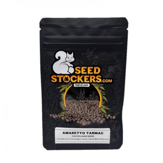 Amaretto Tarmac Auto autofem (SdSt) NEW 2024 Amaretto Tarmac Auto autofem (SdSt) NEW 2024