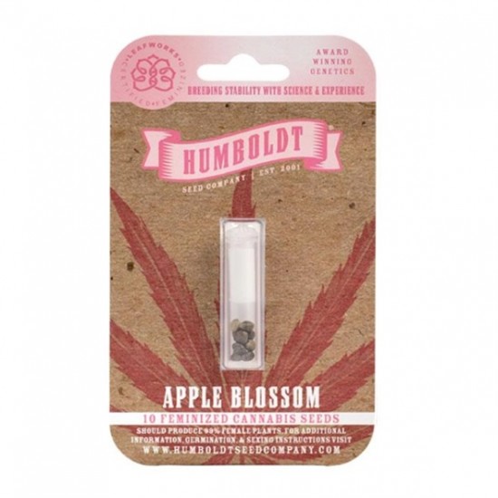 Apple Blossom (Feminised) Fem (HmbSC) Apple Blossom (Feminised) Fem (HmbSC)