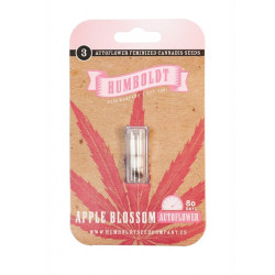 Apple Blossom Auto autofem (HmbSC)