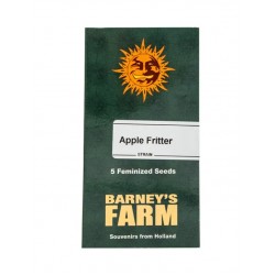 Apple Fritter fem (Brn)