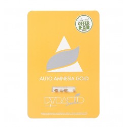 Auto Amnesia Gold autofem (Py)