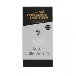 Auto Collection Pack №2 ( 2AAc, 2P, 2AJ) autofem