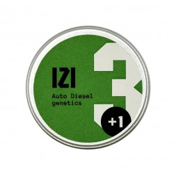 Auto Diesel genetics autofem (IZI)
