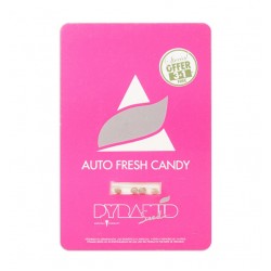 Auto Fresh Candy autofem (Py)