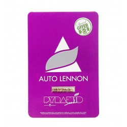 Auto Lennon autofem (Py)