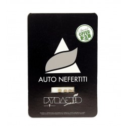 Auto Nefertiti autofem (Py)