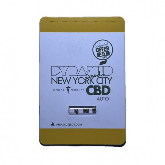 Auto New York City CBD autofem (Py)