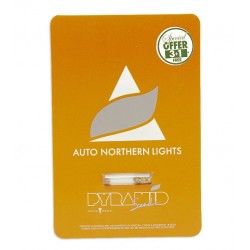 Auto Northern Lights autofem (Py)