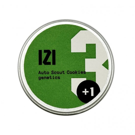 Auto Scout Cookies genetics autofem (IZI)