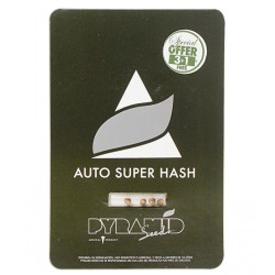 Auto Super Hash autofem (Py)