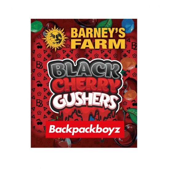 Black Cherry Gushers fem (Brn) NEW 2025