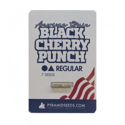 Black Cherry Punch reg (Py)