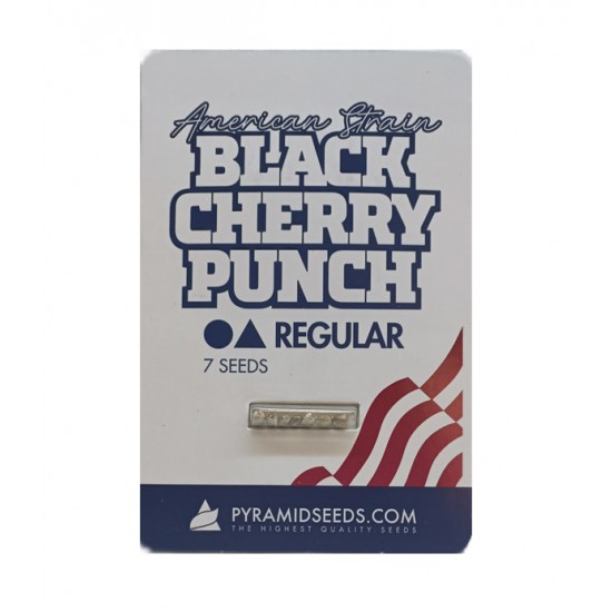Black Cherry Punch reg (Py)