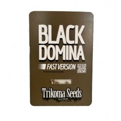 Black Domina Fast Version fem (TrkS)