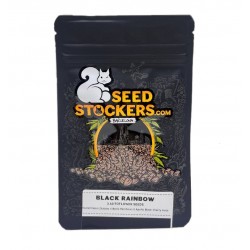 Black Rainbow Auto autofem (SdSt) NEW 2024
