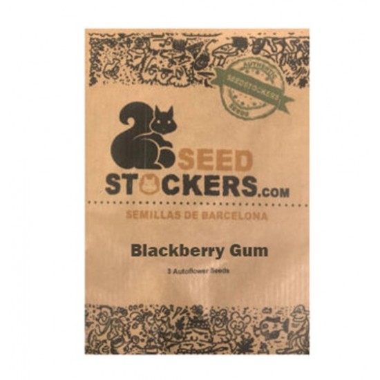 Blackberry Gum Auto autofem (SdSt)