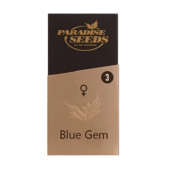 Blue Gem fem (P) NEW 2024