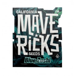 Blue Zushi Fem photofem (Mvr)