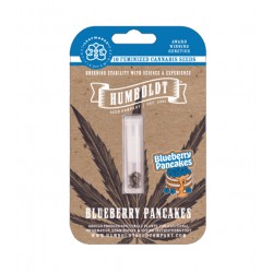 Blueberry Pancakes Fem (HmbSC)