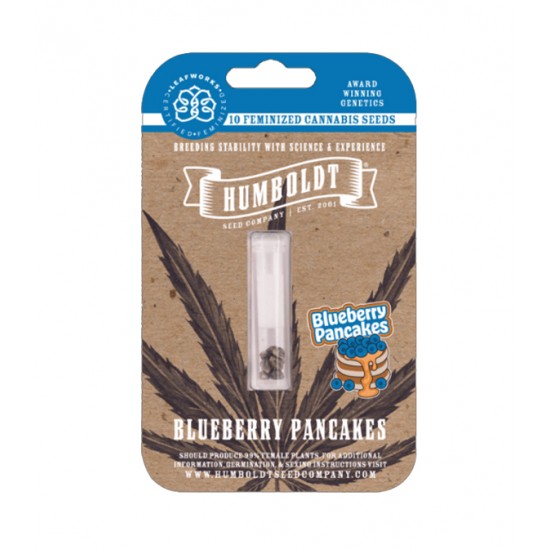 Blueberry Pancakes Fem (HmbSC) Blueberry Pancakes Fem (HmbSC)
