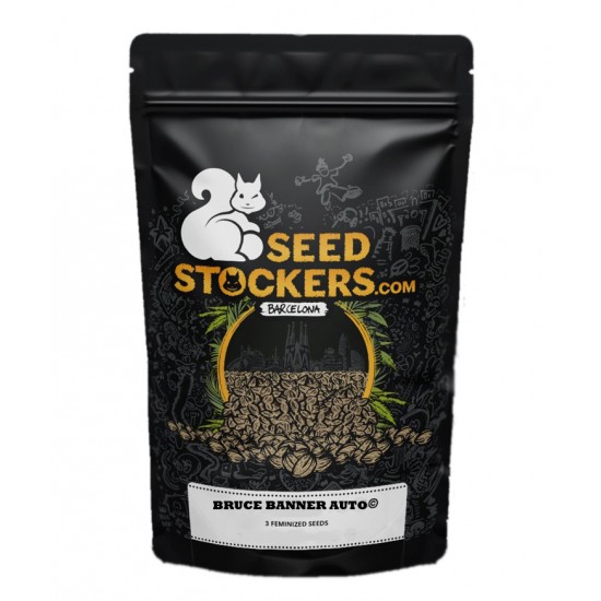 Bruce Banner Auto autofem (SwS) Bruce Banner Auto autofem (SwS)