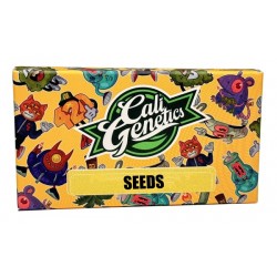 AK Amnesia Auto autofem (ClGen)