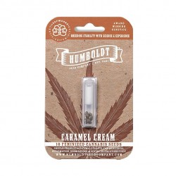 Caramel Cream fem (HmbSCo)