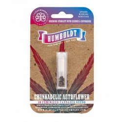 Chunkadelic Auto autofem (HmbSCo)