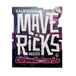 Citronella Sunrize Auto autofem (Mvr)