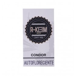 Condor Auto autofem (Rk)