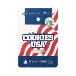 Cookies USA fem (Py)