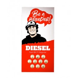 Diesel Fast F1 regular fast reg (DctCh)