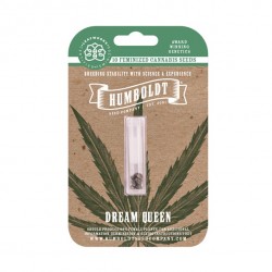 Dream Queen fem (HmbSCo)