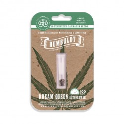 Dream Queen Auto autofem (HmbSCo)