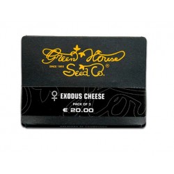 Exodus Cheese (Feminised) fem (GHS)