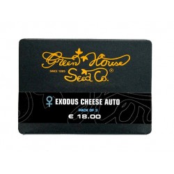 Exodus Cheese Auto (Feminised) autofem (GHS)