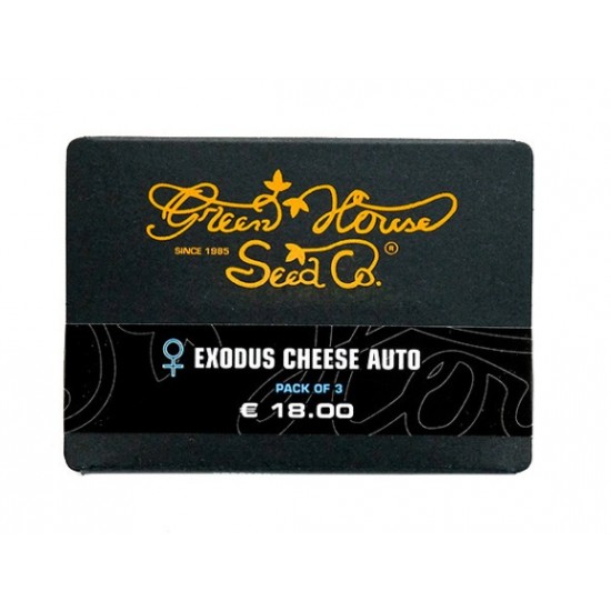 Exodus Cheese Auto (Feminised) autofem (GHS)