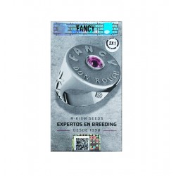 Fancy Don Rouch fem (Rk)