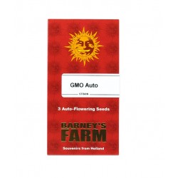 GMO Auto autofem (Brn)