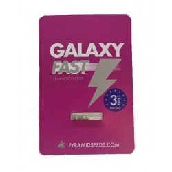 Galaxy Fast fem (Py)