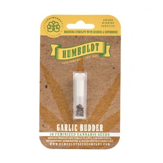 Garlic Budder Fem (HmbSC) Garlic Budder Fem (HmbSC)