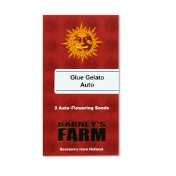 Glue Gelato Auto autofem (Brn)